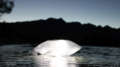 luminaid solar light