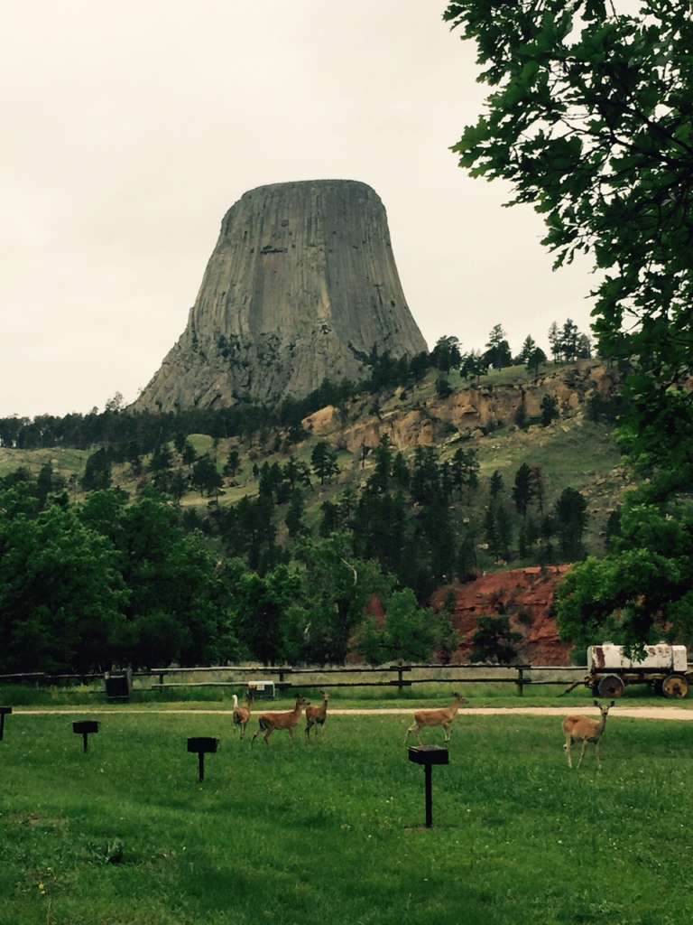 devils tower campground wyoming