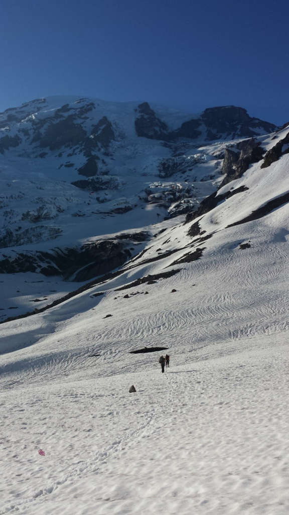 camping-mount-rainier-park