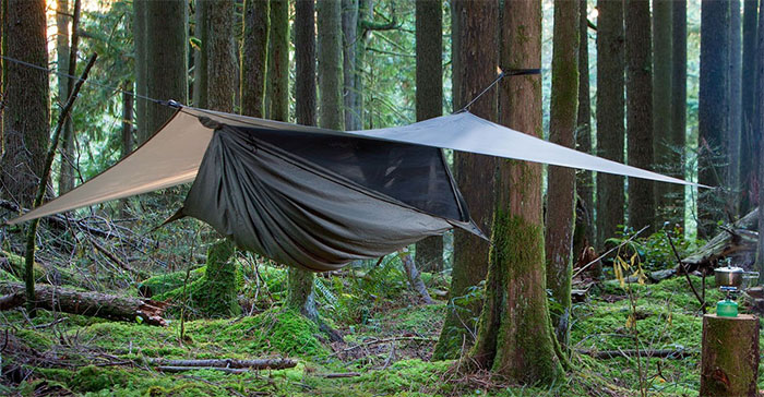 hennessy expedition hammock