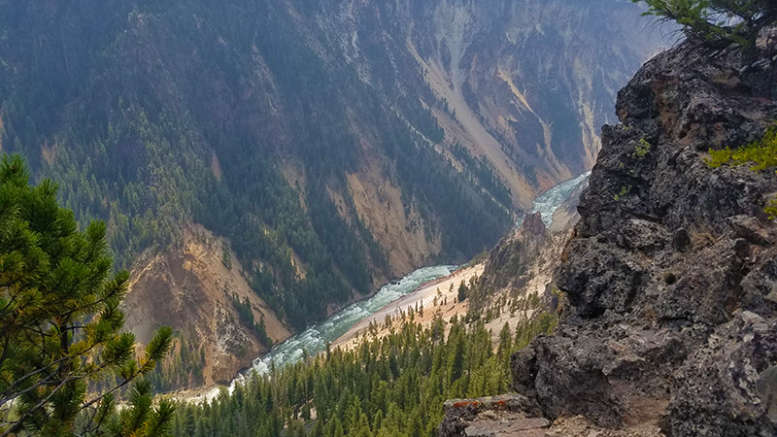 grand canyon of yellowstone