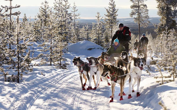 Dog Sledding in Montana Means Family Adventure in the Winter! - Savage