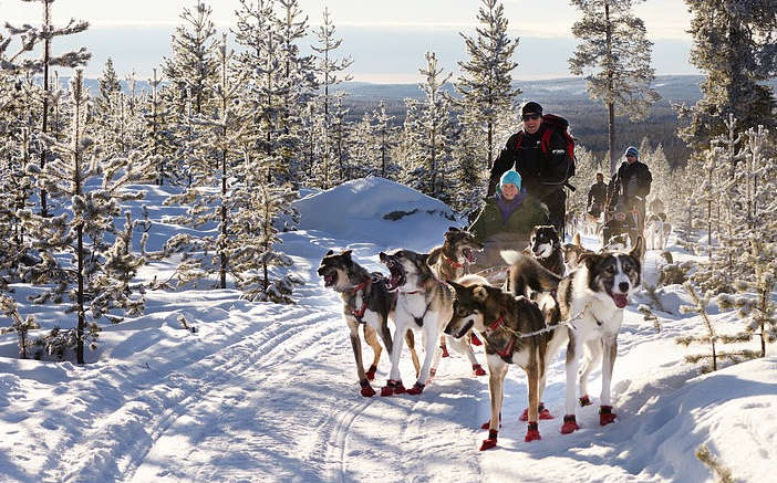 dog sled tours in montana