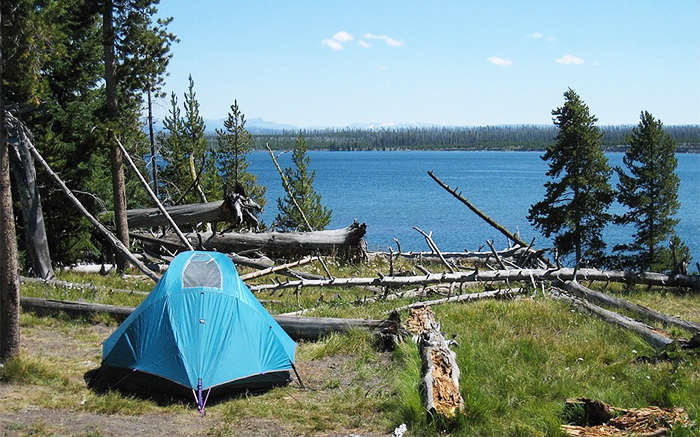 The Best Campsites In Yellowstone Park Savage Camper   Best Campgrounds Yellowstone Park 700x437 